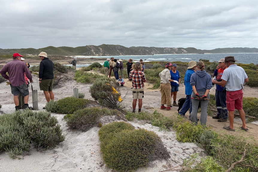 People stand and talk across a wide sandy area in the dunes, with the coastline and waves visible in the distance.