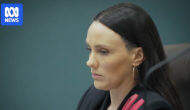 Greens politician Kat McNamara quits NT parliament 18 months after historic Nightcliff win