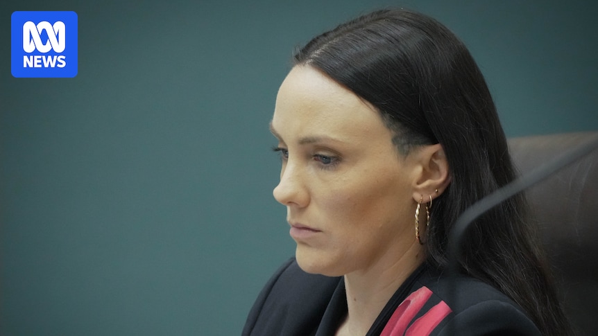 Greens politician Kat McNamara quits NT parliament 18 months after historic Nightcliff win