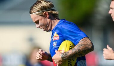 Western Bulldogs midfielder and Melbourne premiership player James Harmes makes shock retirement call on eve of AFL season