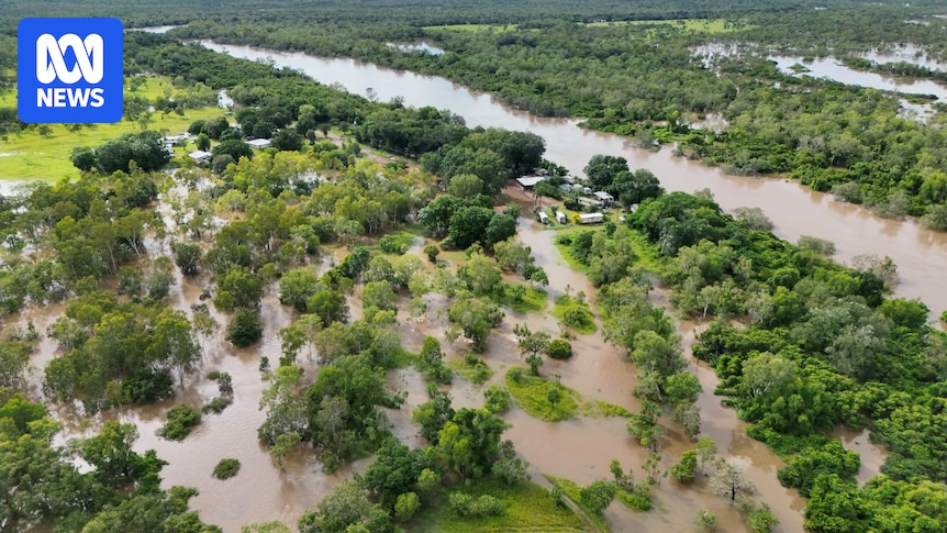 More homes in Daly River damaged by flooding, with water levels expected to recede from Thursday