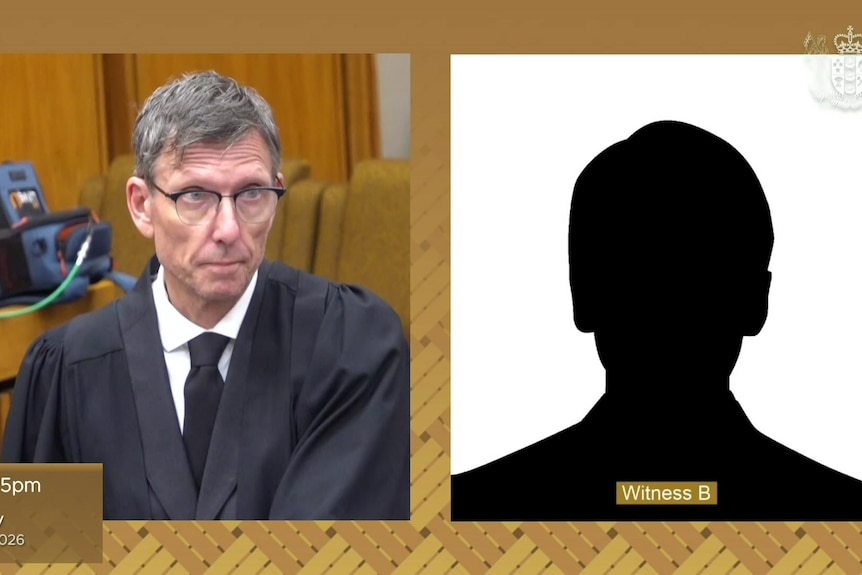 A livestream from court of Barnaby Hawes questioning a man known as Witness B, who is seen on screen as a silhouette.