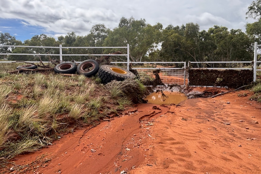 A damaged dirt road leads to a metal gate.