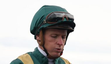James McDonald suspended for whip breach, fined $20,000, what happened, Inglis Millenium, Fireball, news, reaction