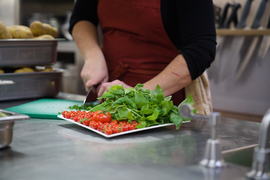 A close up of a chef's hands cutting fresh greens and tomatoes.