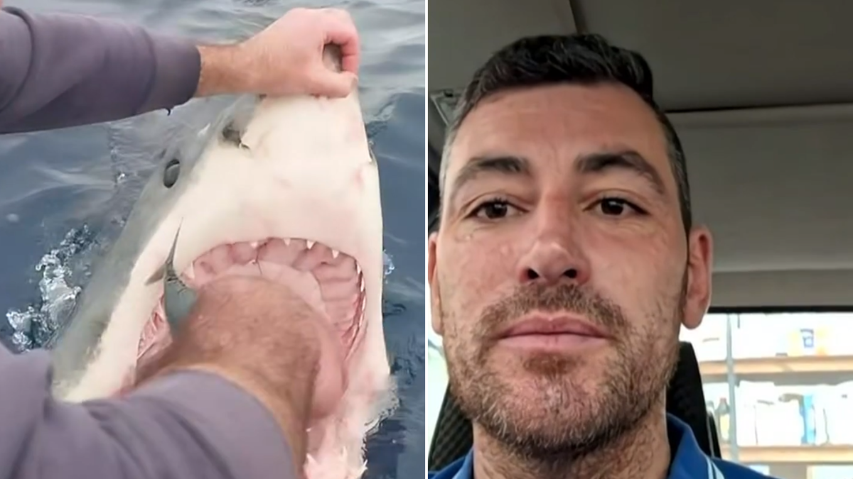 Fisherman gets up close and personal with four-metre great white shark off Victoria coast