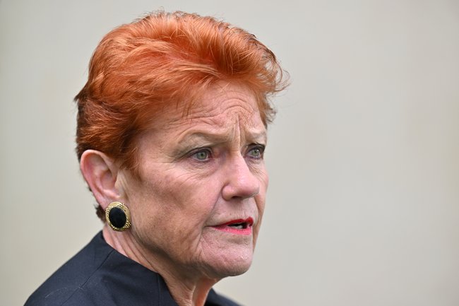 One Nation Leader Pauline Hanson says she is in perfect health. (AAP Image/Mick Tsikas) NO ARCHIVING