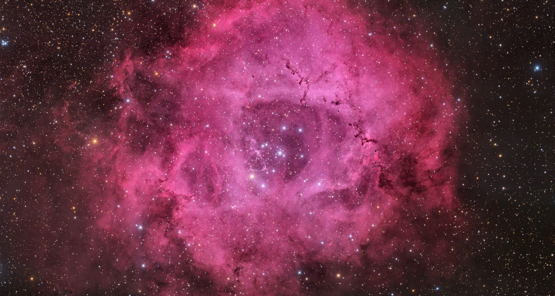 Single this Valentine's Day? Don't worry, the universe has a rose just for you (photo)