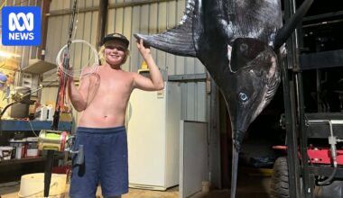 Nervous wait for Jurien Bay boy who hauled in potential record-breaking 270kg marlin