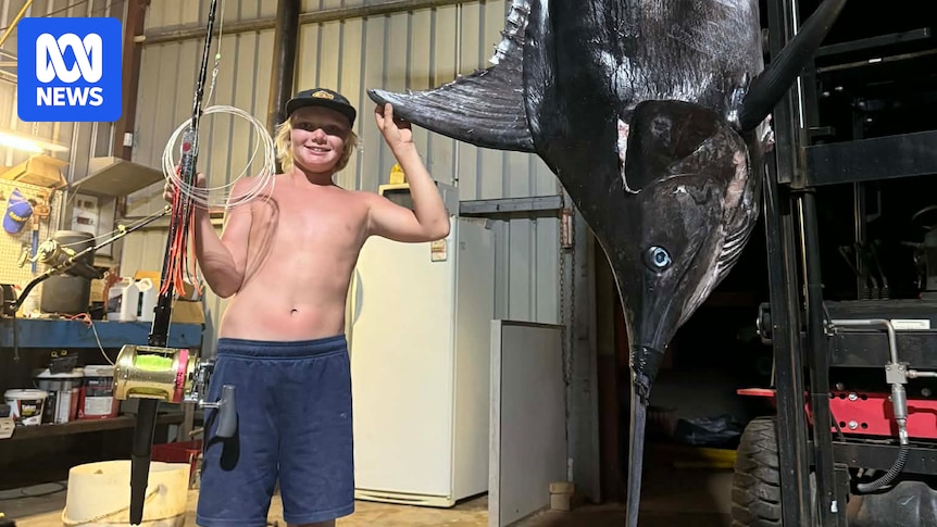 Nervous wait for Jurien Bay boy who hauled in potential record-breaking 270kg marlin