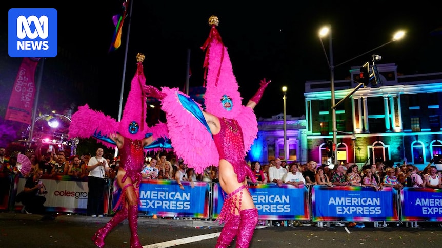 Shadow arts minister calls for Mardi Gras funding review, accuses board of infiltration