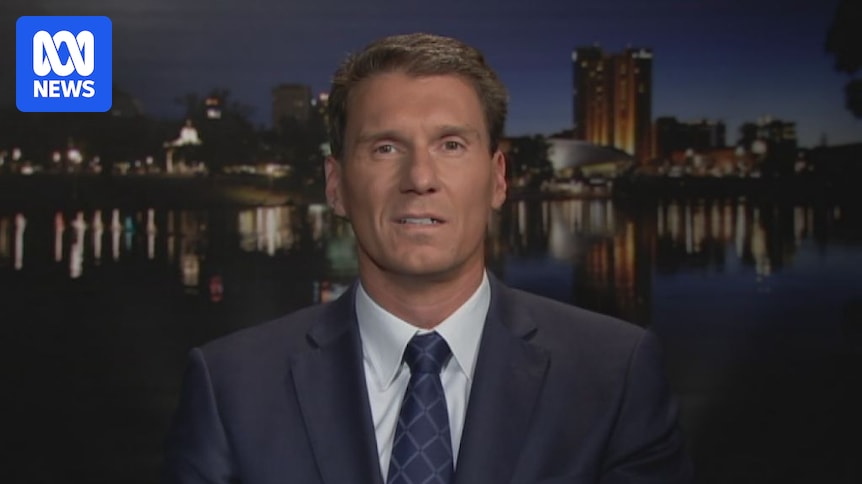 Cory Bernardi to contest SA state election for One Nation