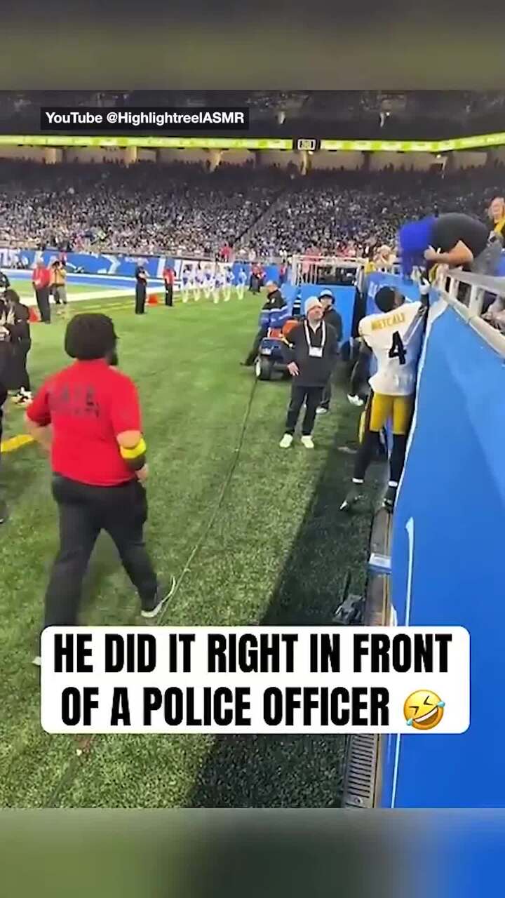 NFL player filmed punching fan