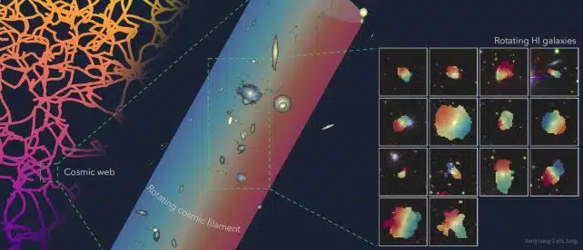 Filament