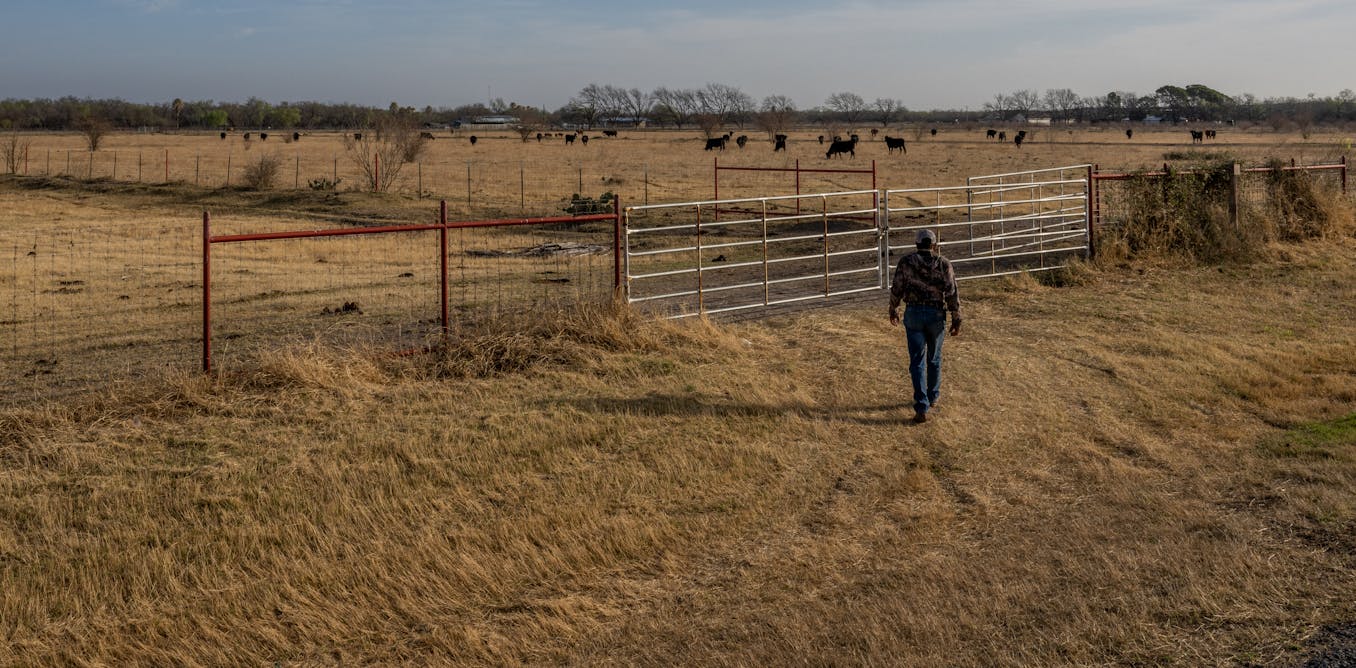 Sixth year of drought in Texas and Oklahoma leaves ranchers bracing for another harsh summer
