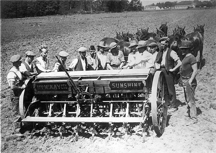 Black and white photo of a horse-drawn seed drill at a farm in NSW in 1926.
