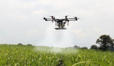 AI isn’t likely to wipe out all farming jobs – but it is changing who bears the risks