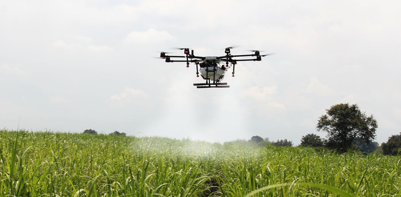 AI isn’t likely to wipe out all farming jobs – but it is changing who bears the risks