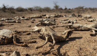 Climate change could expose 1.1 billion people to hunger by 2100 (but there’s good news too) – AI modelling study