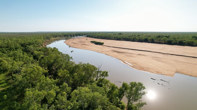 view through leaves of a large slow moving river and sandbanks.