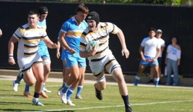 Bears Defeat the Bruins - California Golden Bears Athletics