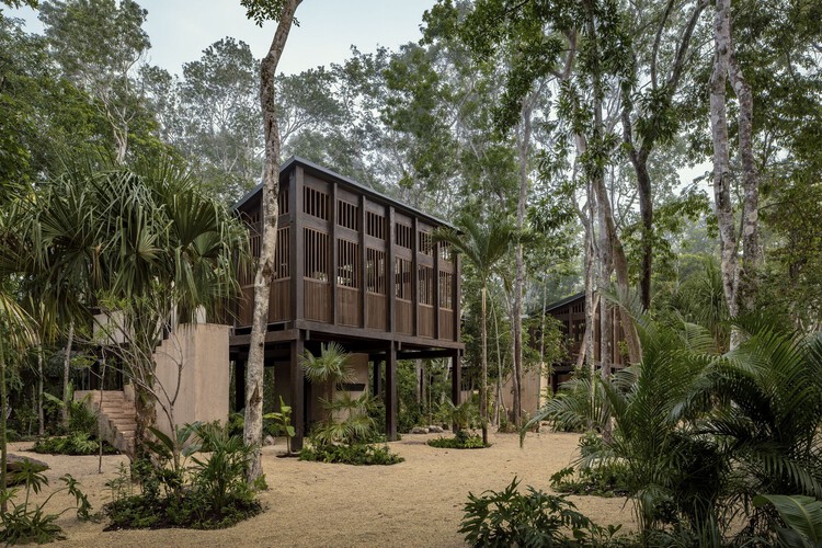 Frida Escobedo and Ma Yansong Among 11 International Architects Named 2026 AIA Honorary Fellows - Image 1 of 14