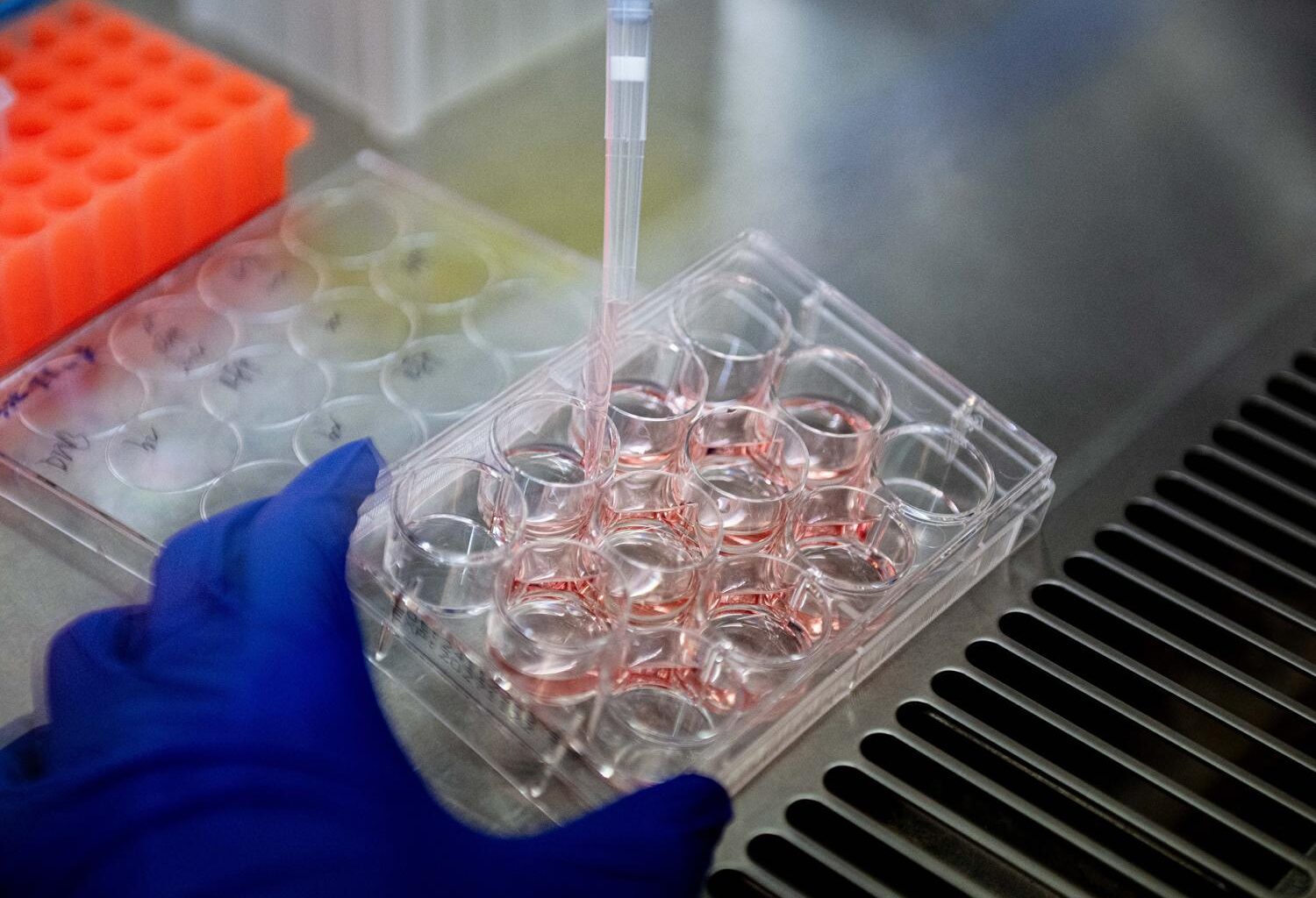 Brighter Side of News