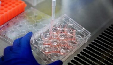 Brighter Side of News