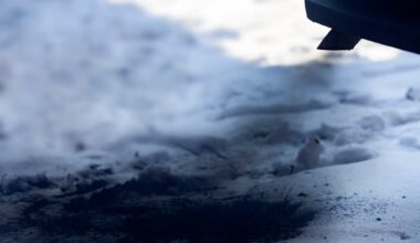 Hidden Impact Of Polluted Snow