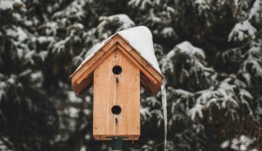 How Old Towels Could Be A Lifeline For Backyard Critters
