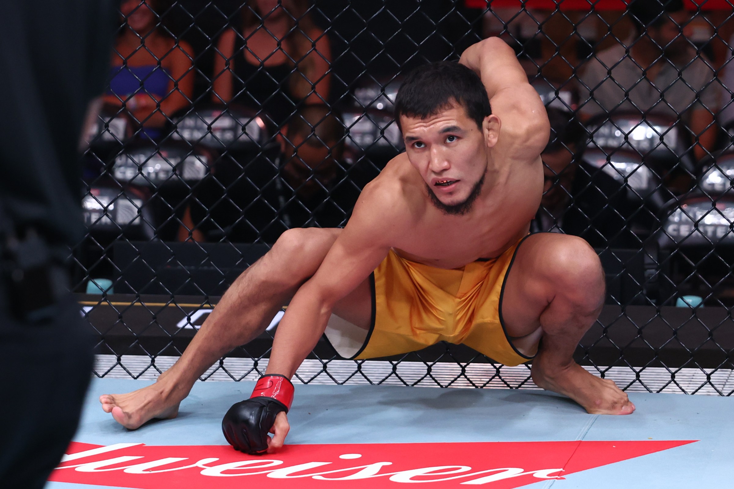 Alibi Idiris will try and get his first proper UFC win at UFC Houston.