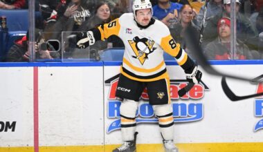 Avery Hayes says he “kind of blacked out” after two goals in his NHL debut