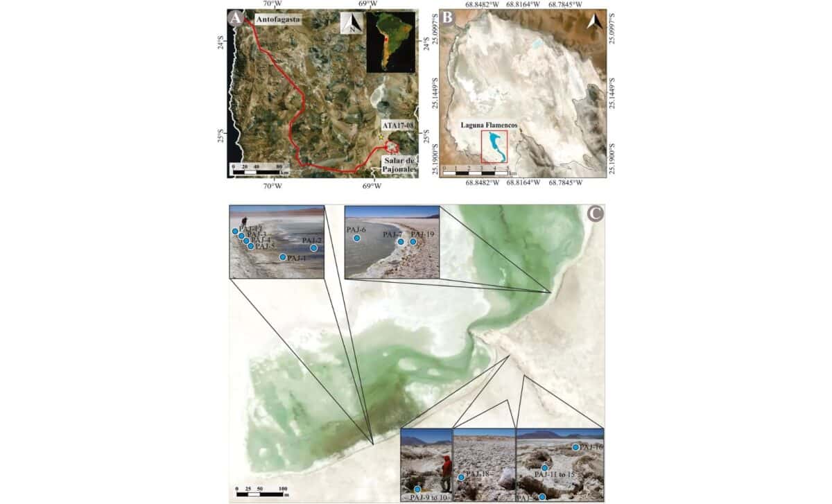  Google Satellite Image Showing The Location