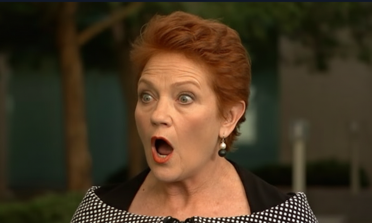 One Nation's gas policies could halve energy bills