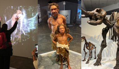 See mega animals, experience augmented reality at Fernbank’s ‘Planet Ice’ – WSB-TV Channel 2