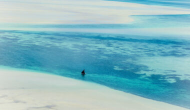 Swimming with seahorses on Mozambique’s Bazaruto archipelago
