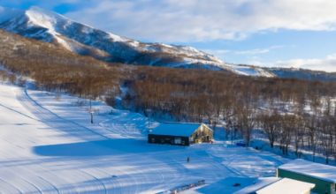 Australian man dies after disappearing while skiing in Japan