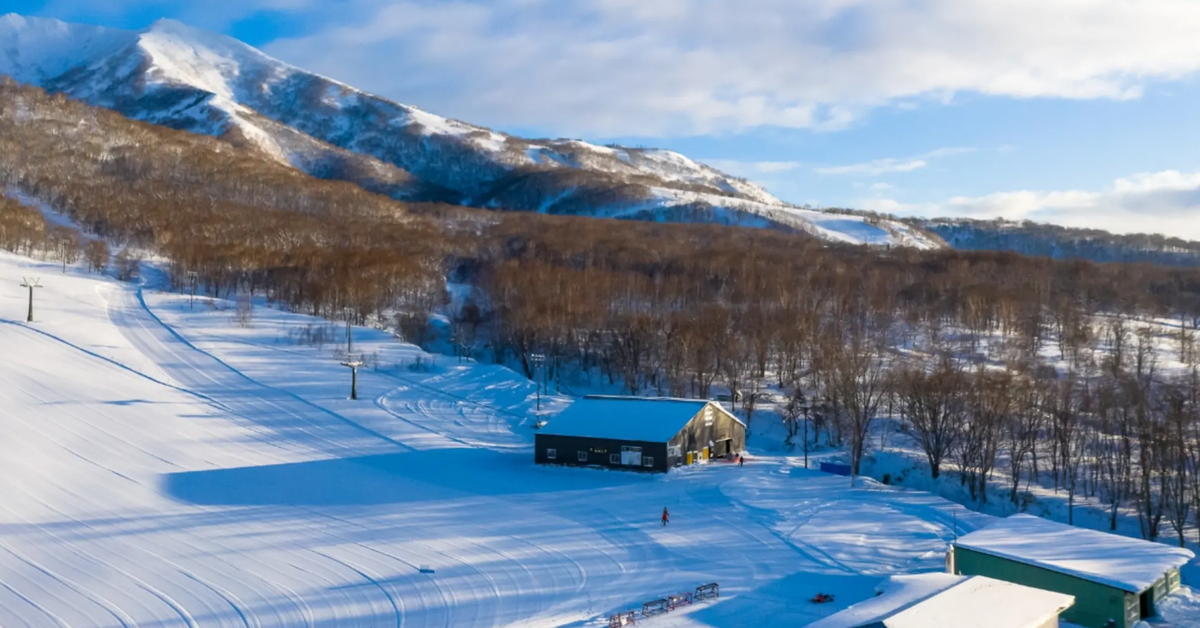 Australian man dies after disappearing while skiing in Japan