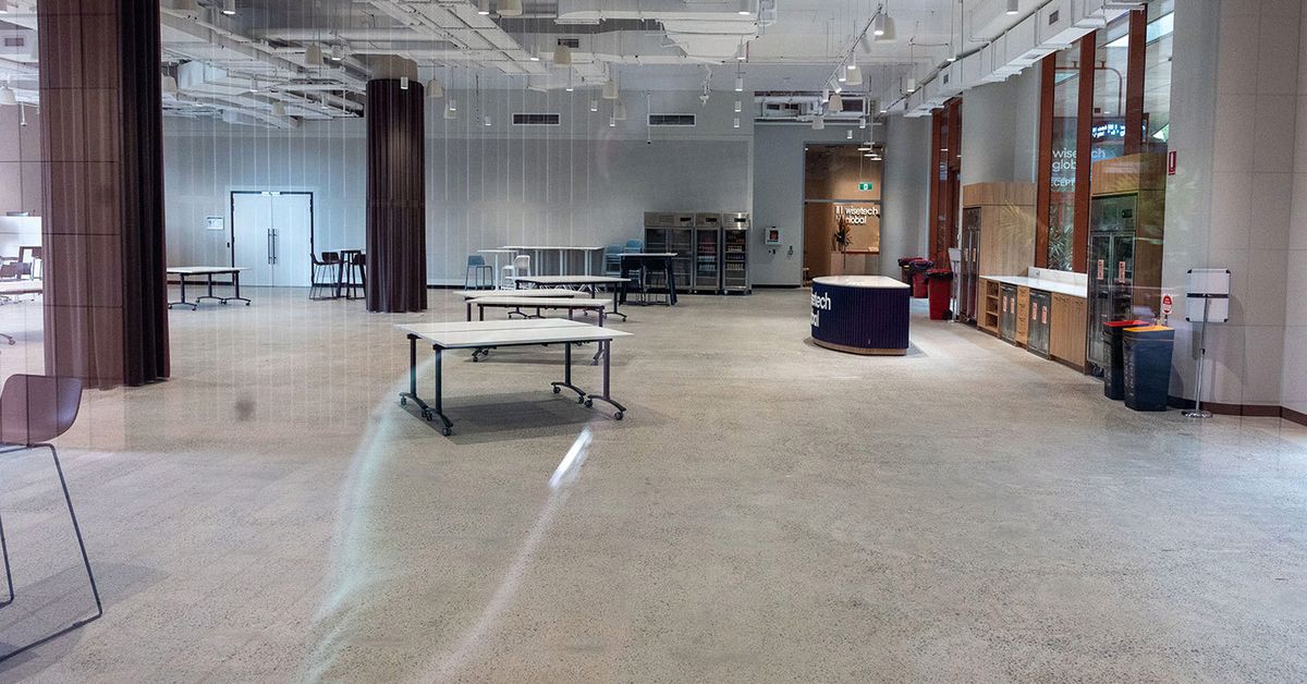 WiseTech Global set to cut up to 2000 jobs for AI 'efficiency'