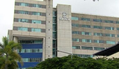 Two men, dog killed in Sunshine Coast crash, woman critically injured