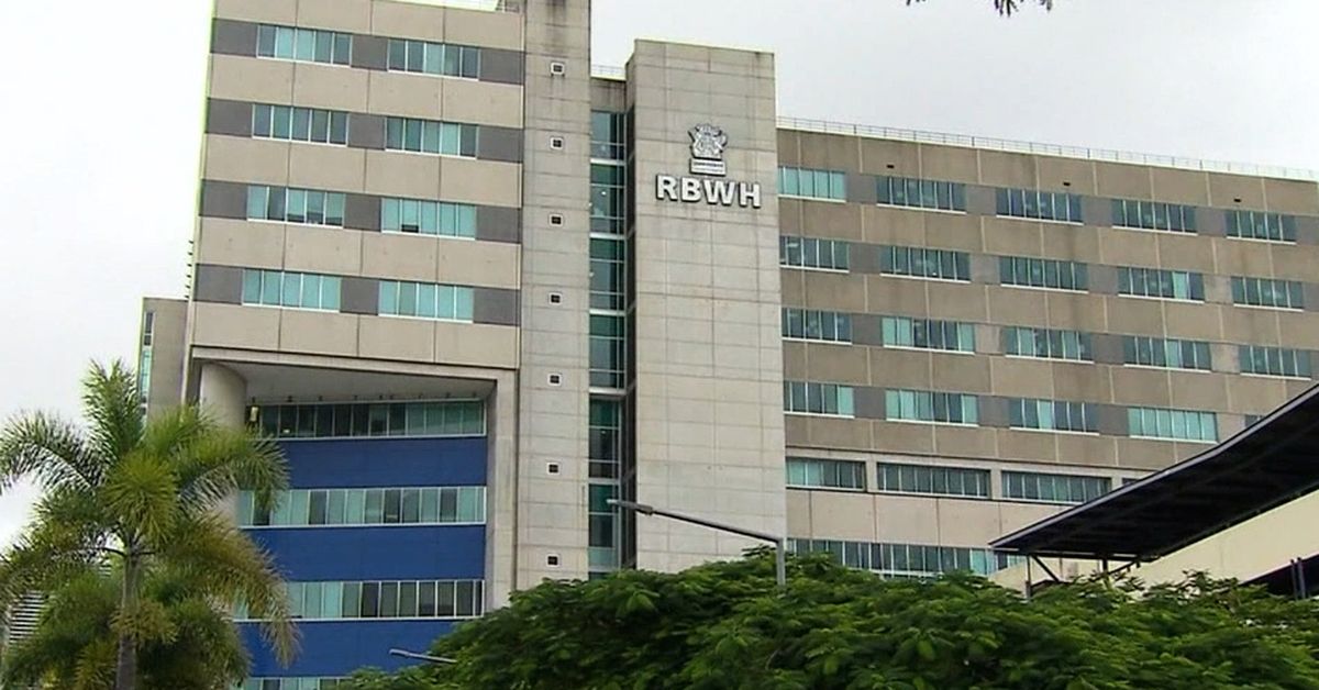 Two men, dog killed in Sunshine Coast crash, woman critically injured