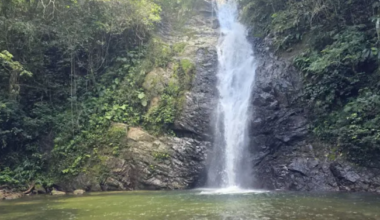 Family demand 'justice' after five-year-old Brisbane girl drowns at Fiji waterfall