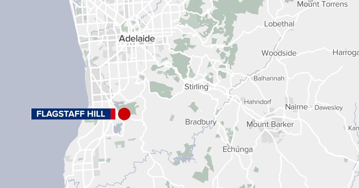 Police investigate alleged sexual assault in toilet block in Adelaide's southern suburbs