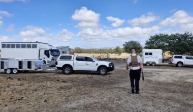 Serial animal cruelty offender has dozens more seized from Victorian property