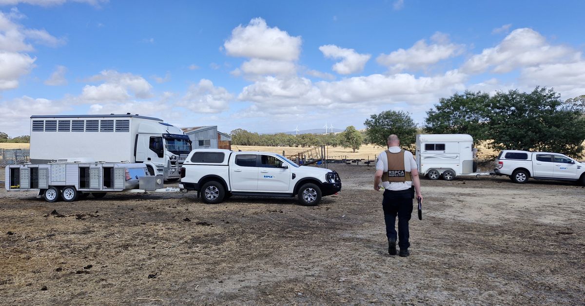 Serial animal cruelty offender has dozens more seized from Victorian property