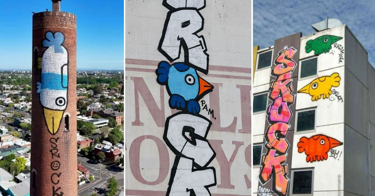 Accused 'Pam the Bird' graffitist Jack Gibson-Burrell to face trial
