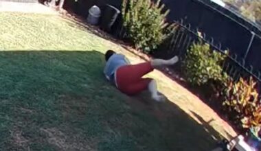 Geelong woman's narrow escape after encountering venomous snake