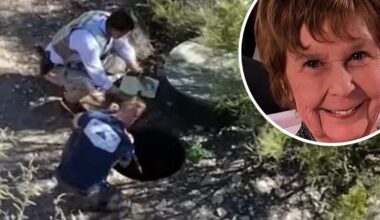 Police examine septic tank in search for US TV host Savannah Guthrie's missing mother