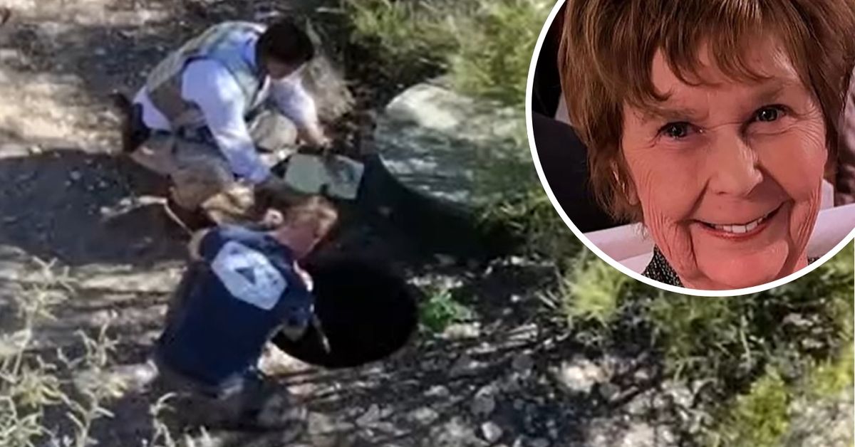 Police examine septic tank in search for US TV host Savannah Guthrie's missing mother