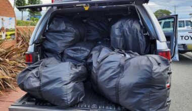 NSW men allegedly found with nearly 150kg of cannabis in boot of car